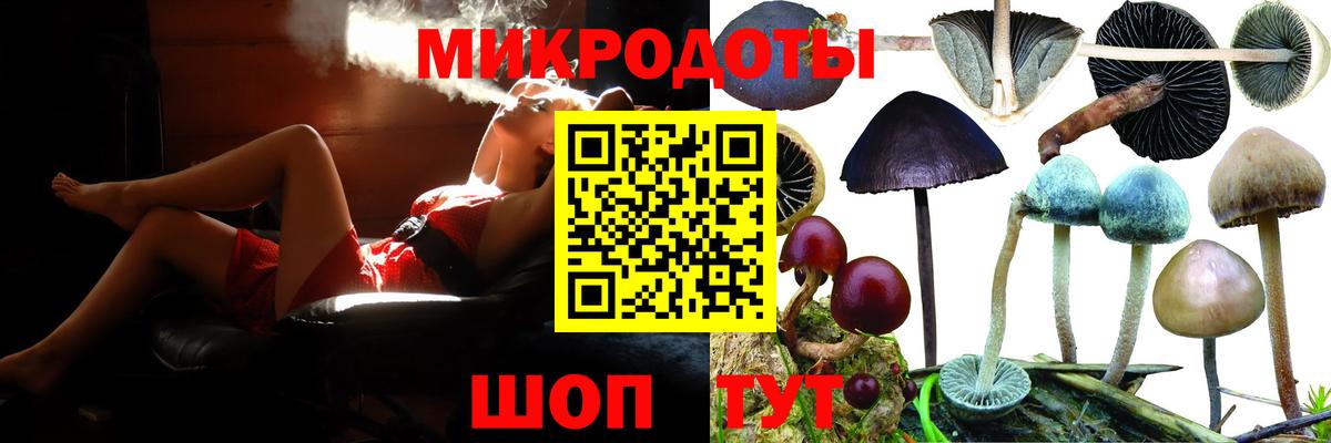 Губкин  Галлюциногенные грибы Psilocybe  Вход с VPN 